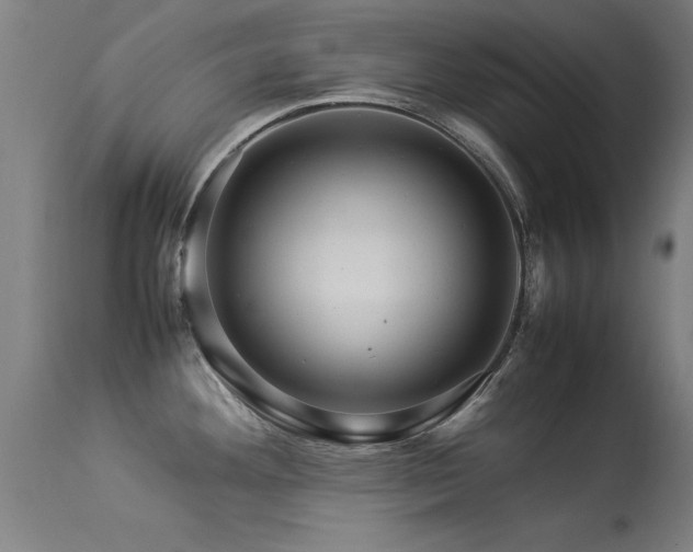 X0000113371292200909221214