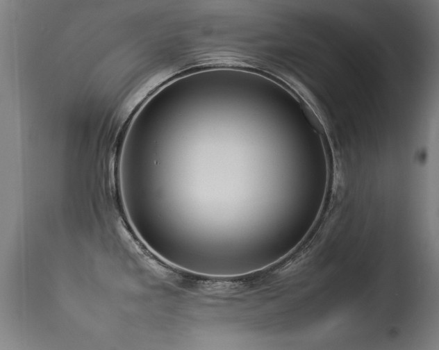 X0000113371293200909221214