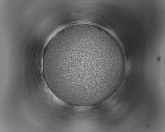X0000113371294200909221214