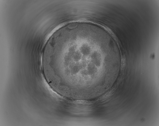 X0000113371295200909221214