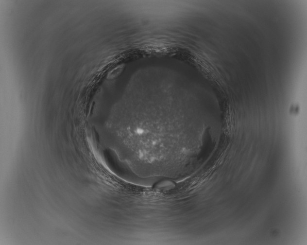 X0000113371297200909221213