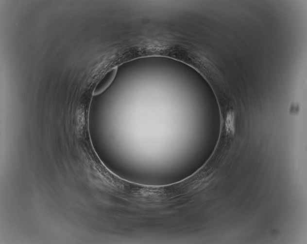 X0000113371299200909221213