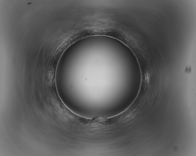 X0000113371300200909221213