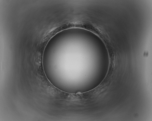 X0000113371301200909221213