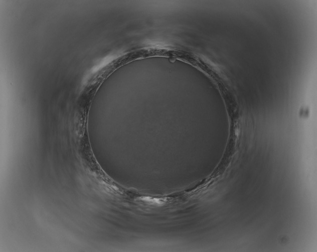 X0000113371303200909221213