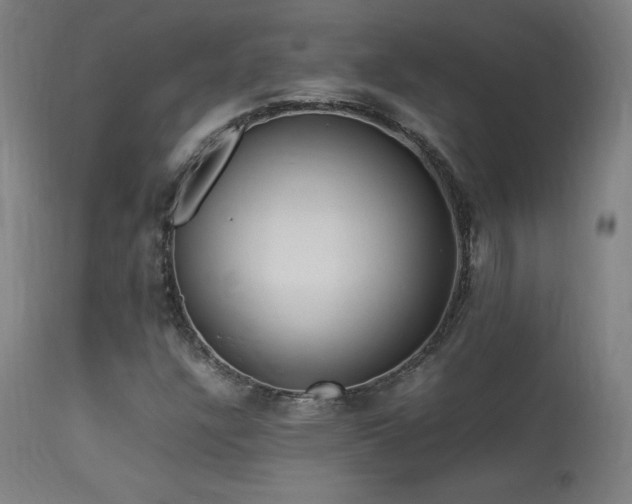 X0000113371304200909221213