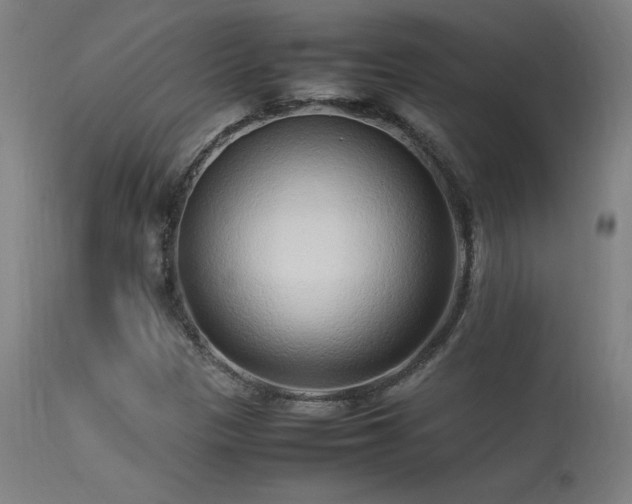 X0000113371305200909221213