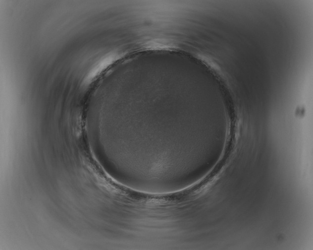 X0000113371306200909221213