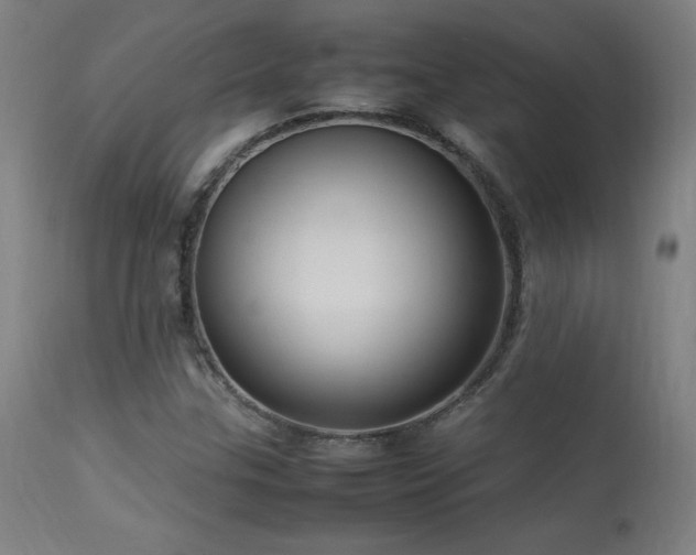 X0000113371307200909221213