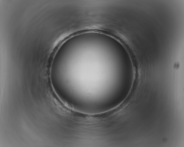 X0000113371308200909221213