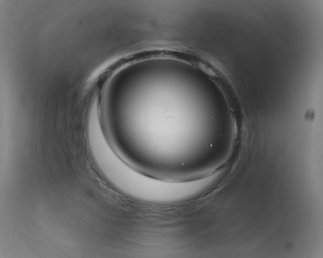 X0000113371310200909221213