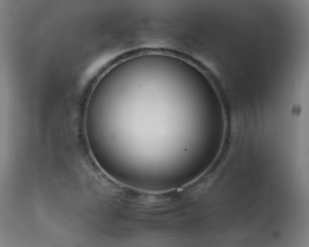 X0000113371311200909221213