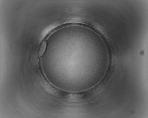 X0000113371312200909221213