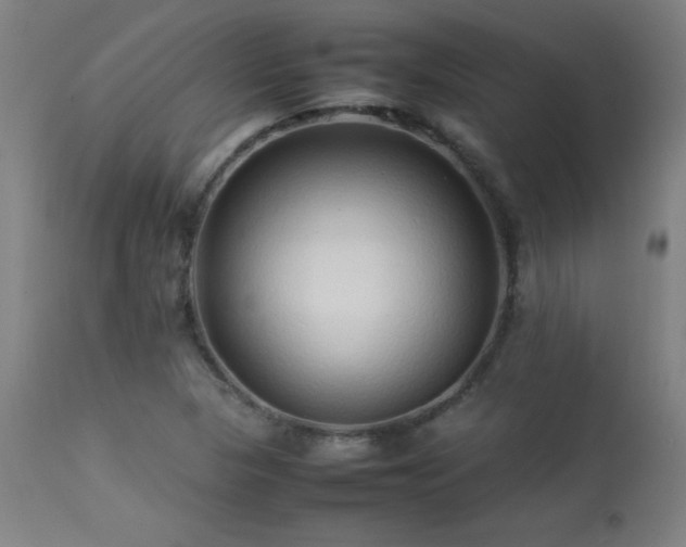 X0000113371313200909221213