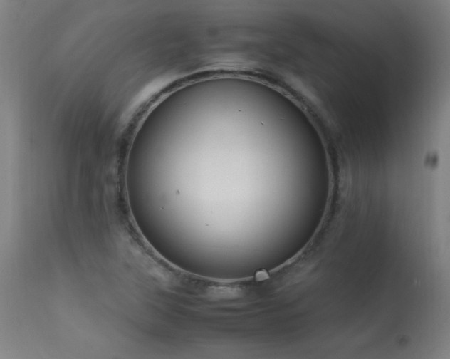 X0000113371315200909221213