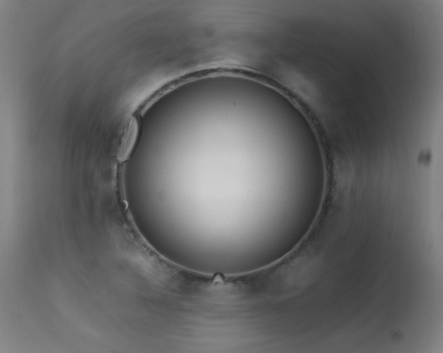 X0000113371316200909221213