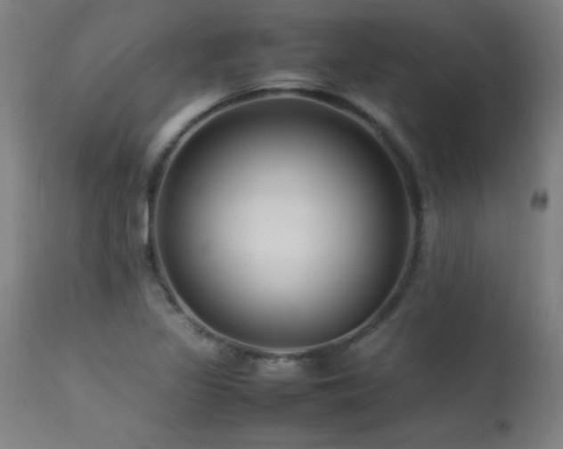 X0000113371317200909221213