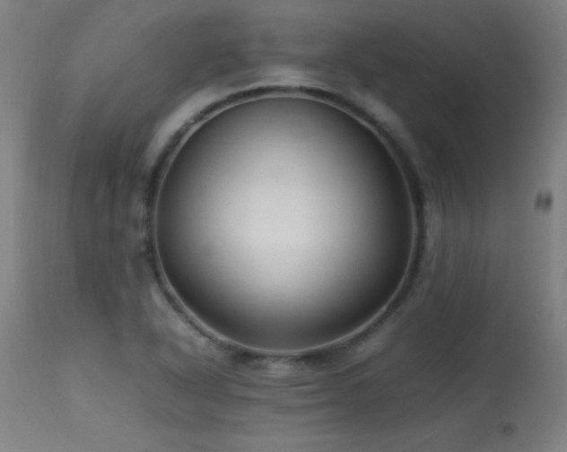 X0000113371318200909221213