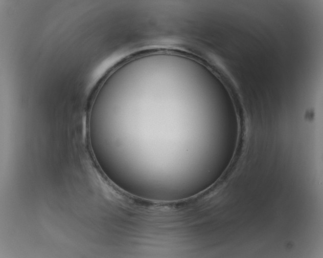 X0000113371320200909221213