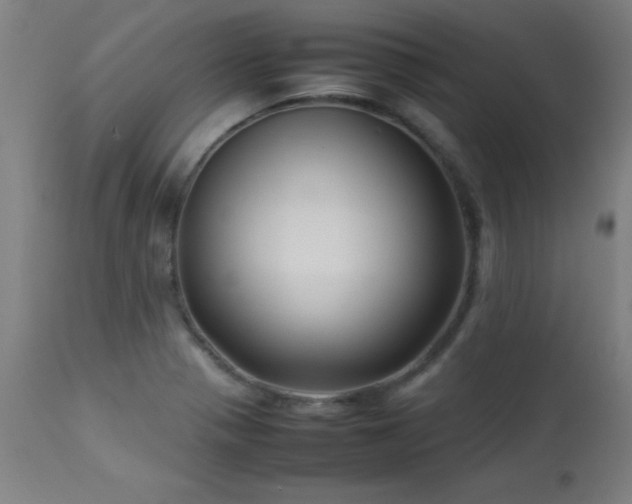 X0000113371321200909221213