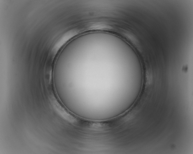 X0000113371322200909221213