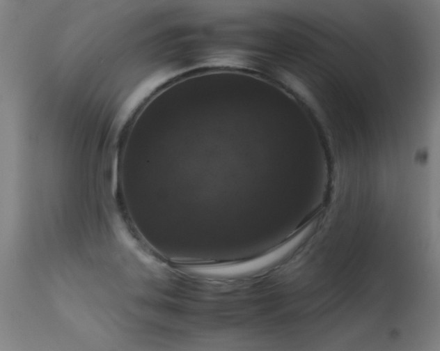 X0000113371323200909221214