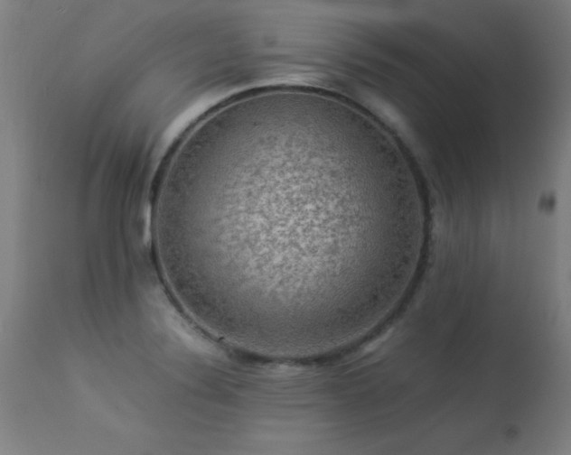 X0000113371324200909221214