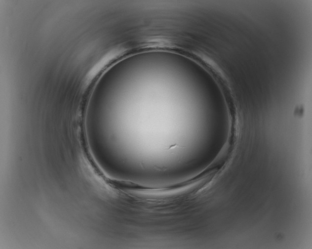 X0000113371325200909221214