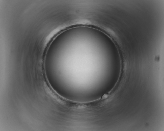 X0000113371326200909221214