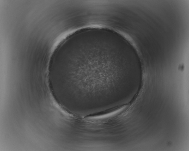 X0000113371327200909221214