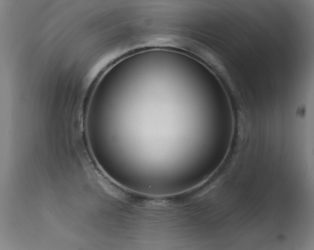 X0000113371328200909221214