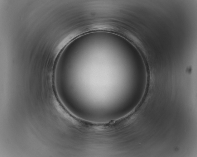 X0000113371330200909221214