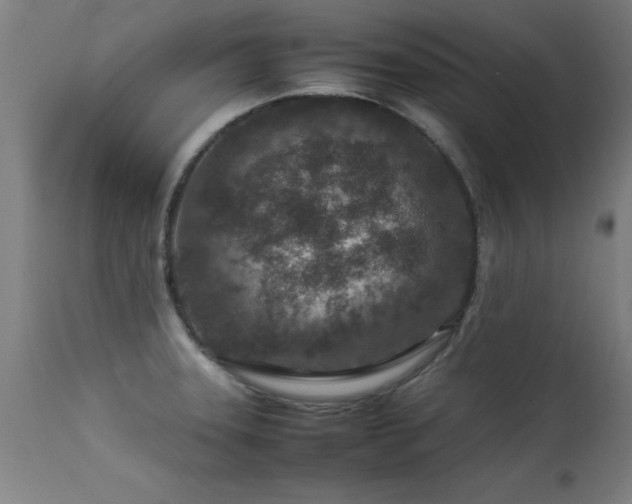 X0000113371331200909221214