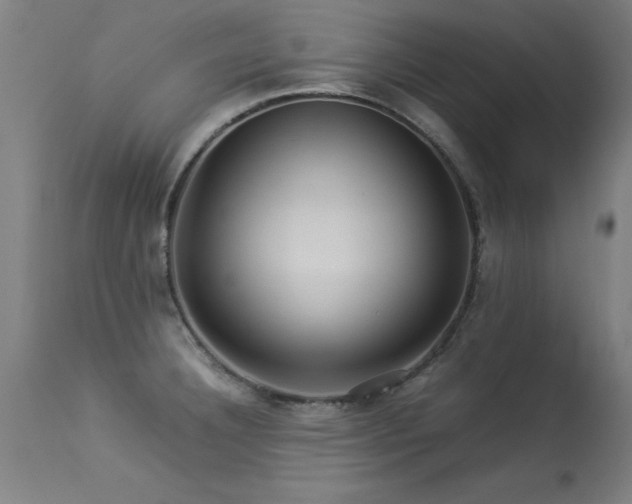X0000113371332200909221214