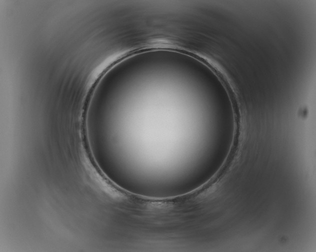 X0000113371333200909221214