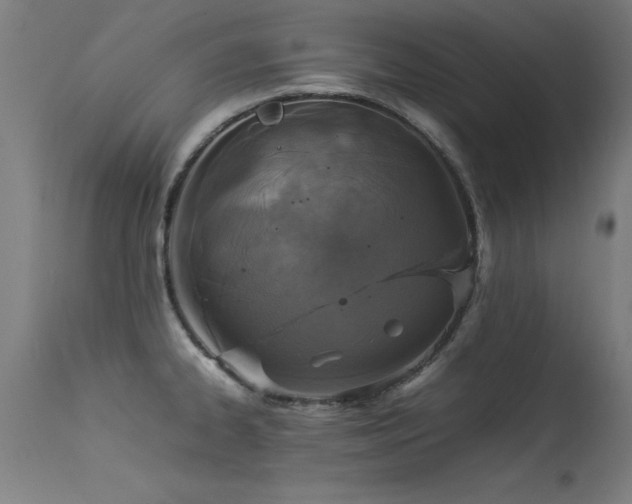 X0000113371334200909221214