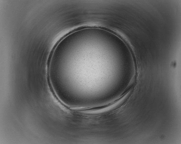 X0000113371335200909221214