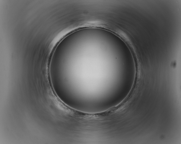 X0000113371336200909221214
