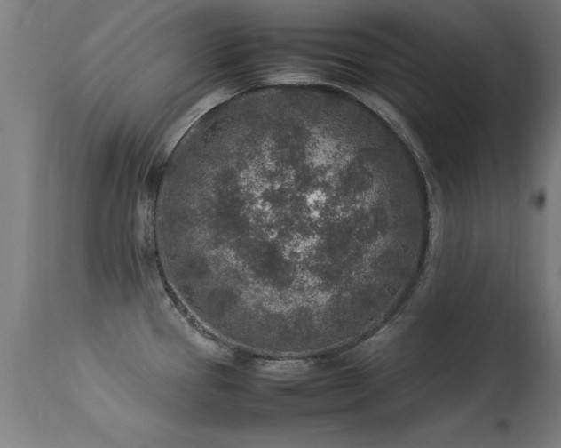 X0000113371337200909221214