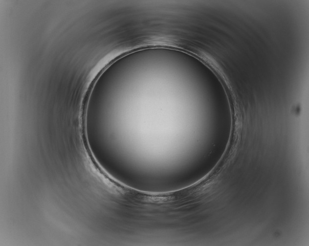 X0000113371339200909221214