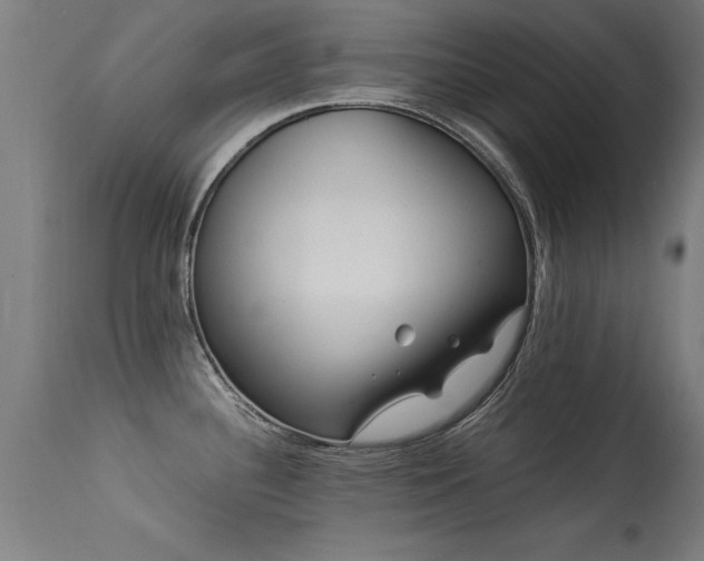 X0000113371340200909221214