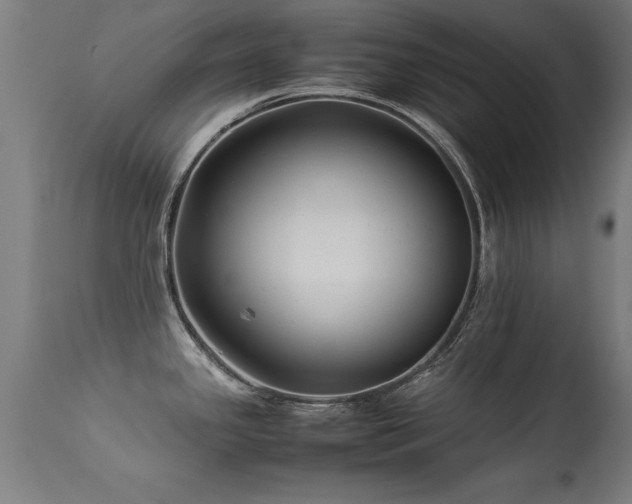 X0000113371341200909221214