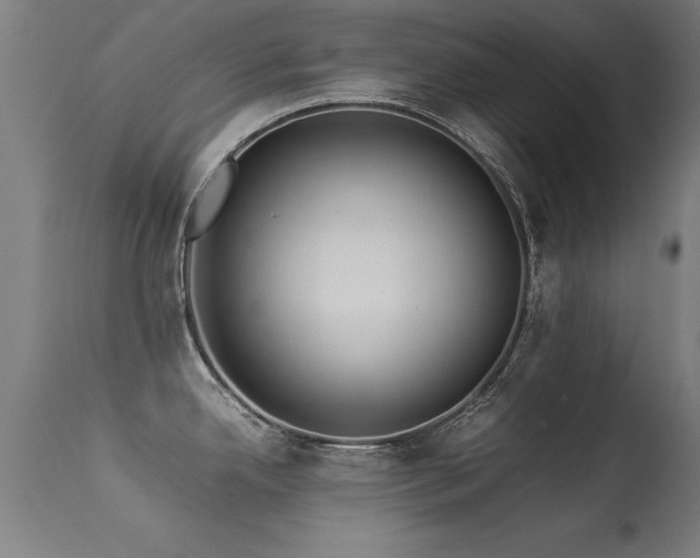 X0000113371342200909221214