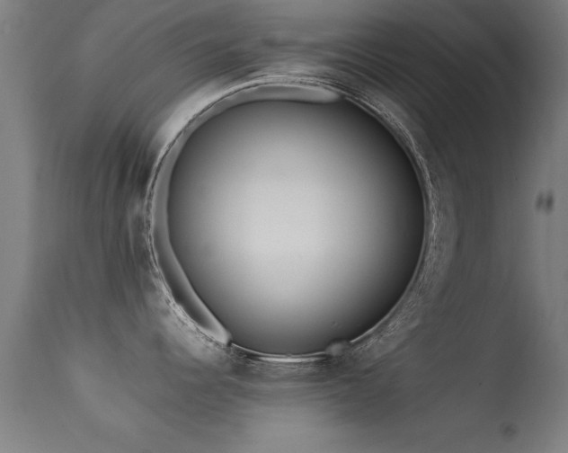 X0000113371344200909221214
