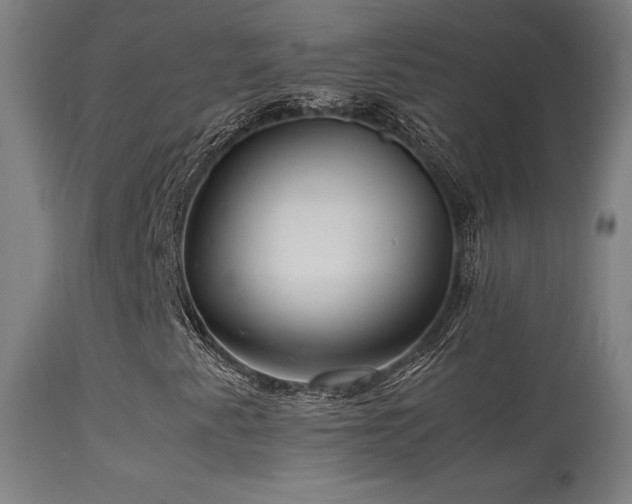 X0000113371345200909221213