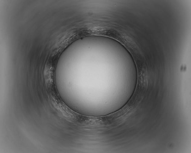 X0000113371346200909221213