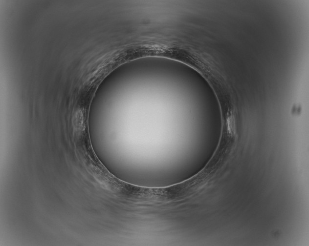 X0000113371347200909221213