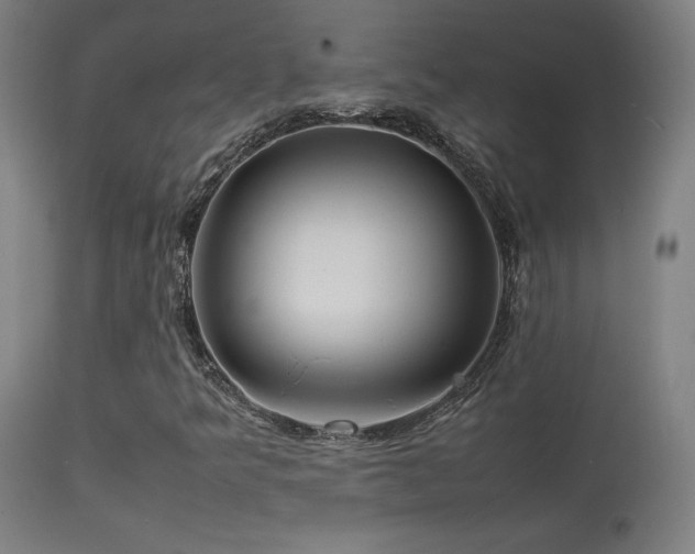 X0000113371349200909221213