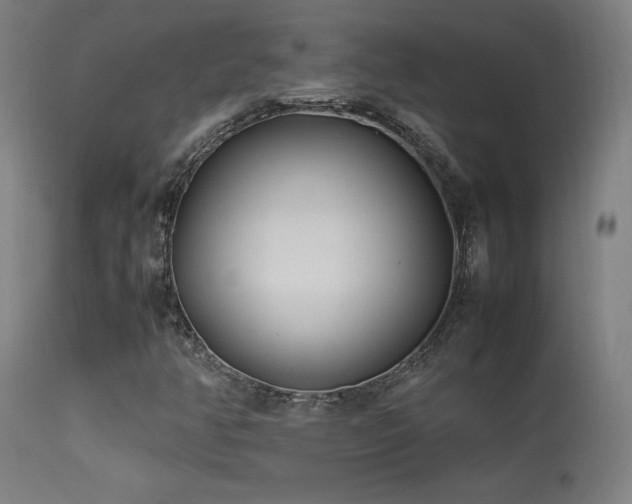 X0000113371350200909221213