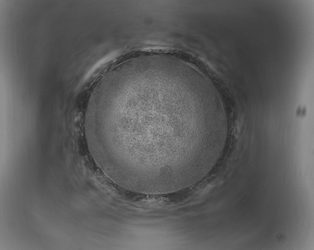 X0000113371351200909221213